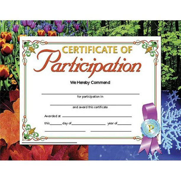 Certificate of Participation, 8.5" x 11", 30 Per Pack, 3 Packs. Picture 1