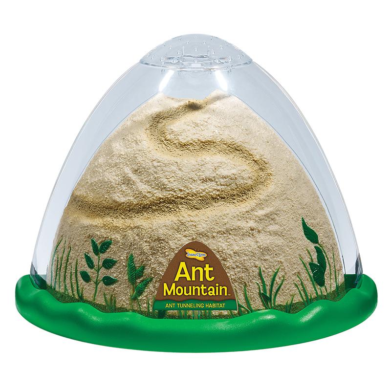 ANT MOUNTAIN. Picture 1