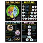 CELLS TEACHING POSTER SET. Picture 2