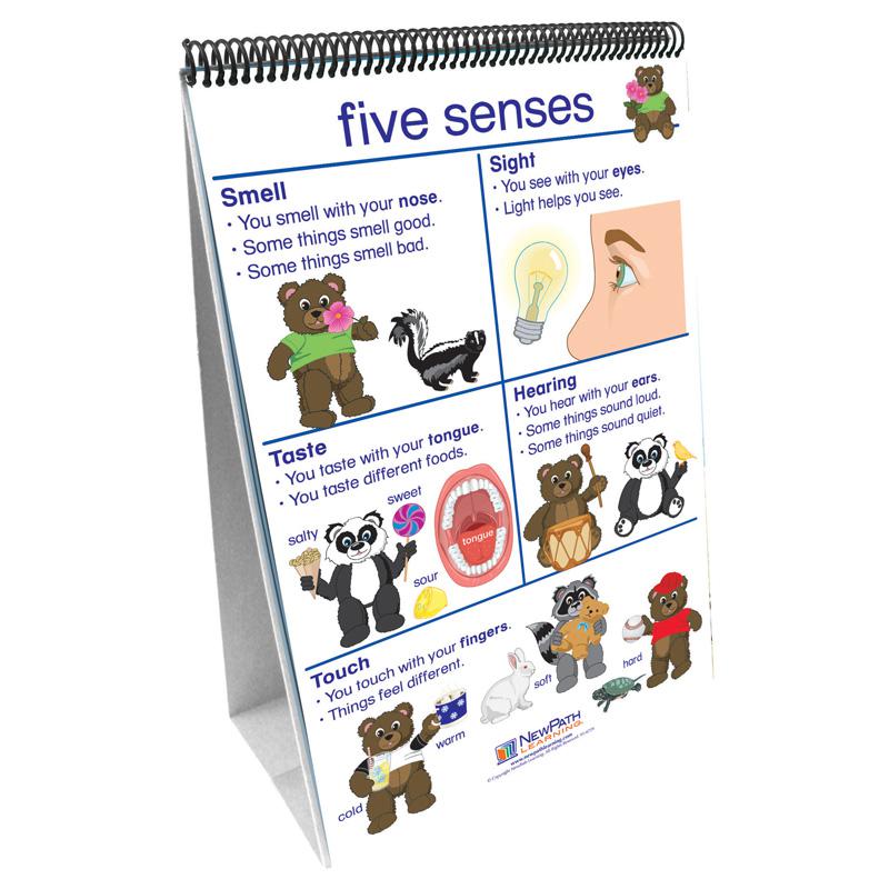 Flip Charts All About Me Early, Childhood Science Readiness. The main picture.