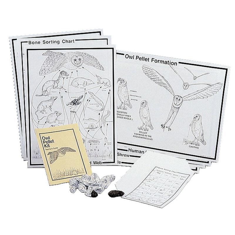 STUDENT OWL PELLET DELUXE CLASSROOM KIT. Picture 1