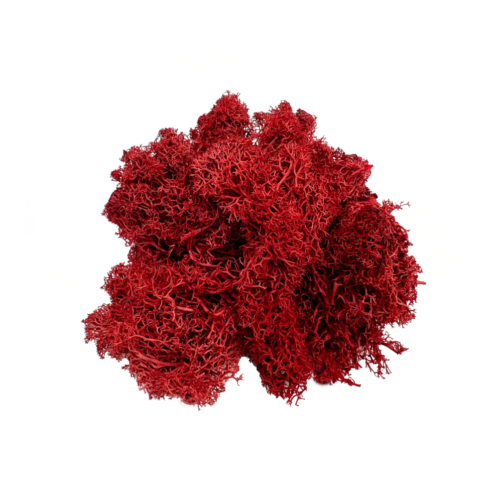 Terrariums And Enhancing Home Décor - 1 lb - Red. Picture 2