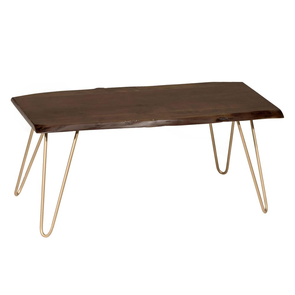 Seti Live Edge Coffee Table/Bench - Elm Top - Gold Base. Picture 1
