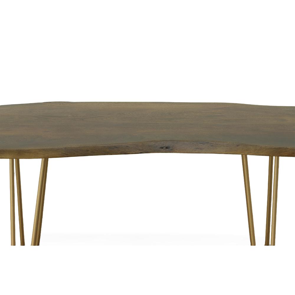 Seti Live Edge Coffee Table/Bench - Elm Top - Gold Base. Picture 2