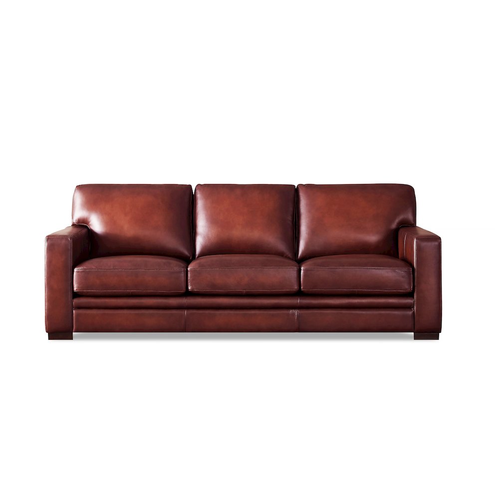 Dillon Waxy Pull-up Leather Sofa. Picture 1