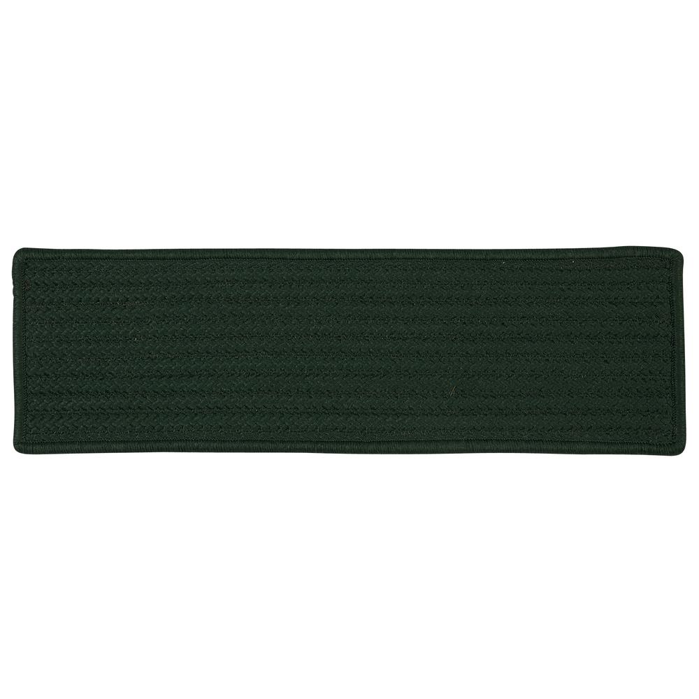 Simply Home Solid - Dark Green 9' square. Picture 4