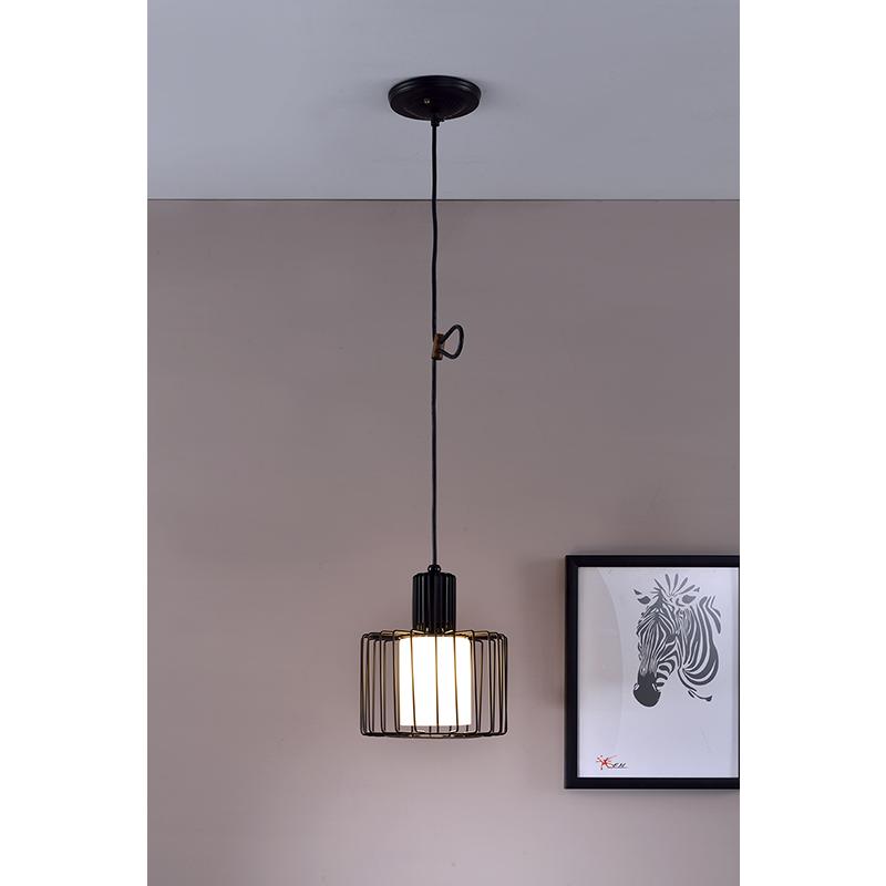 10.25" Black Wire Cage Barnyard Frosted Shade Pendant Ceiling. Picture 2