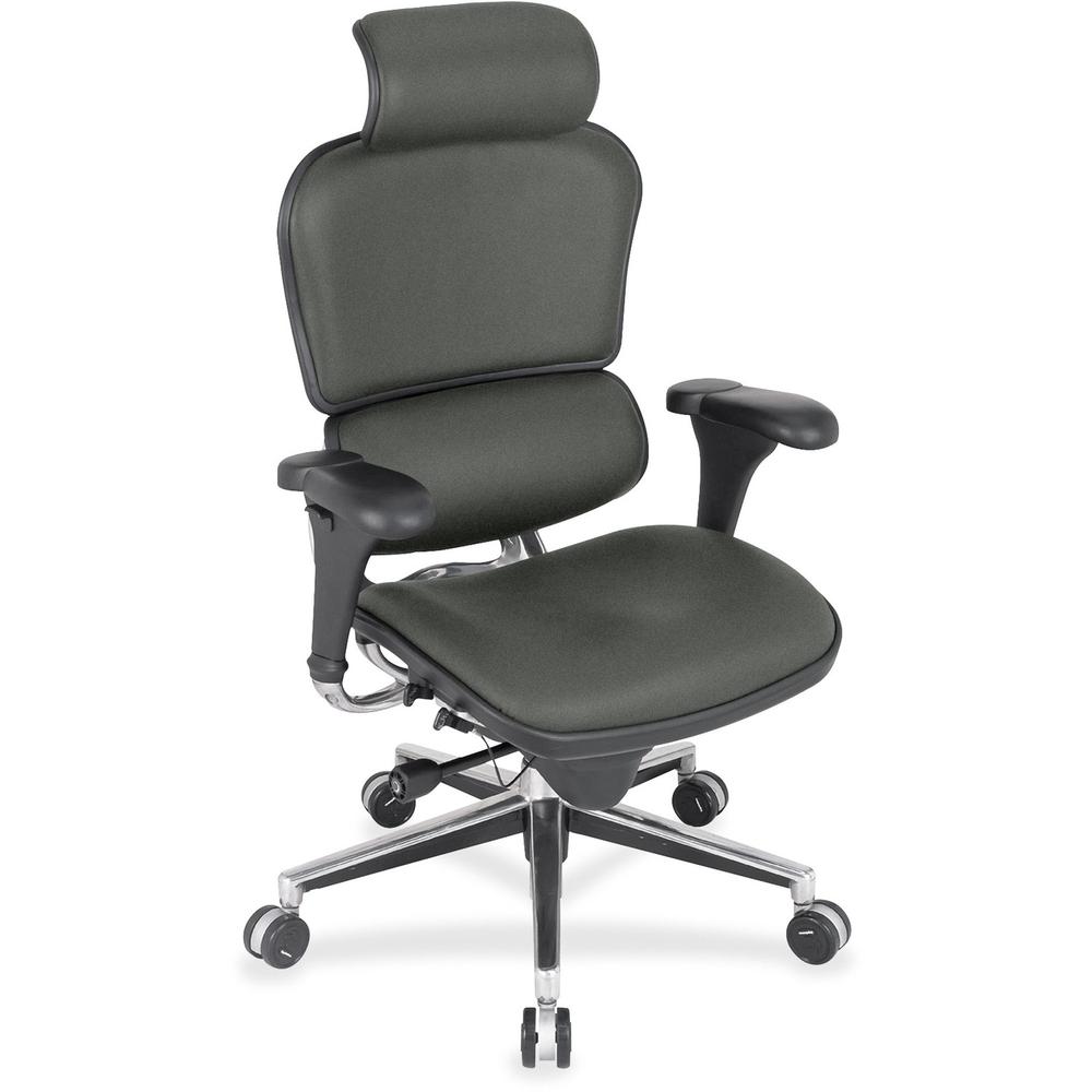 Eurotech Ergohuman Leather Executive Chair - Ebony Fabric, Leather Seat - Ebony Fabric, Leather Back - 5-star Base - 1 Each. The main picture.