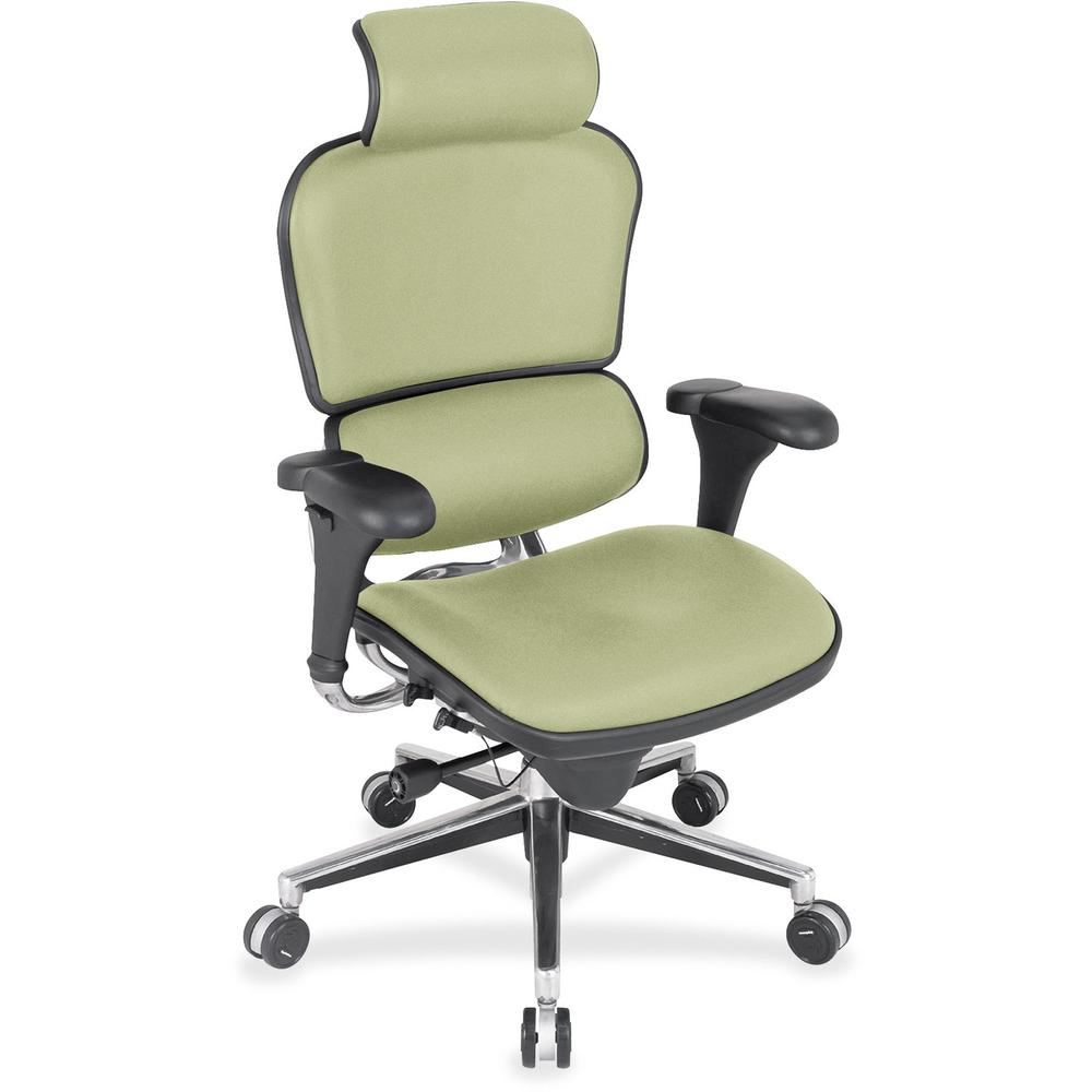 Eurotech Ergohuman Leather Executive Chair - Sage Vinyl, Leather, Fabric Seat - Sage Vinyl, Fabric, Leather Back - 5-star Base - 1 Each. Picture 1