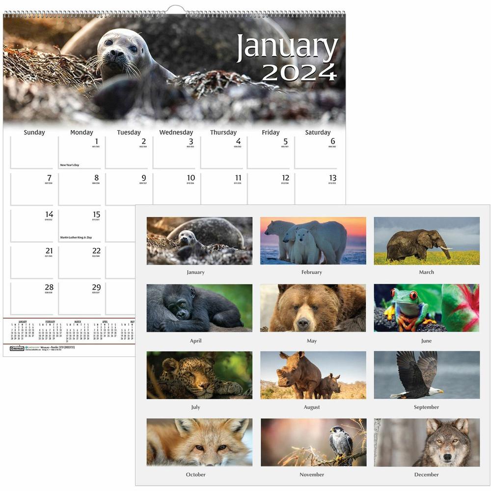 House of Doolittle Earthscapes Wildlife Wall Calendars - Julian Dates - Monthly - 1 Year - January 2024 - December 2024 - 1 Month Single Page Layout - 12" x 12" Sheet Size - 1.63" x 1.63" Block - Wire. Picture 1