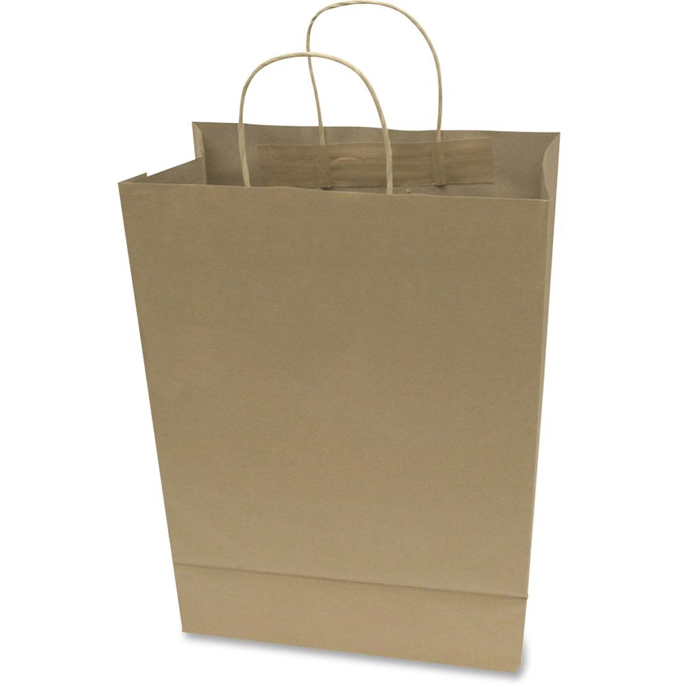 COSCO Premium Large Brown Paper Shopping Bags - 12" Width x 17" Length - Kraft - Paper - 50/Box - Shopping. Picture 1