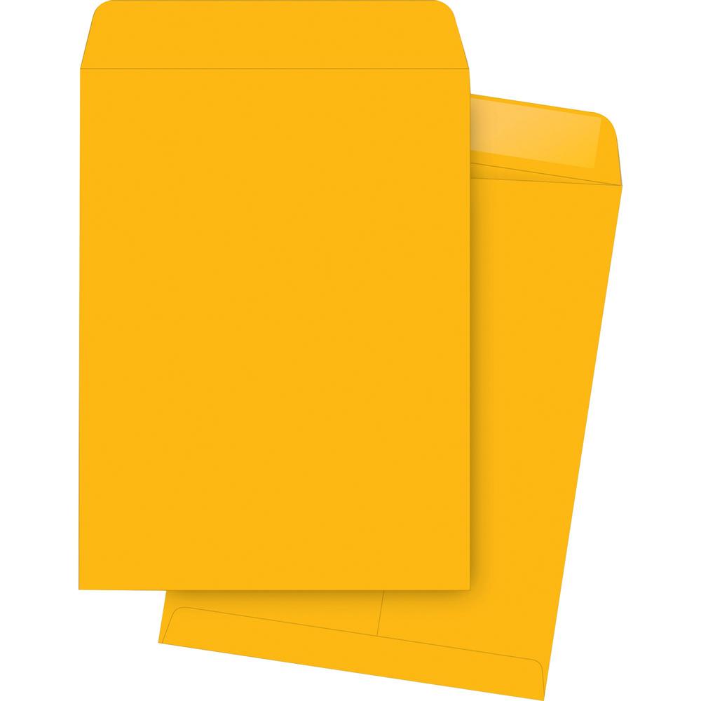 Business Source Kraft Gummed Catalog Envelopes - Catalog - #14 1/2 - 11 1/2" Width x 14 1/2" Length - 28 lb - Gummed - Kraft - 250 / Box - Brown. Picture 1