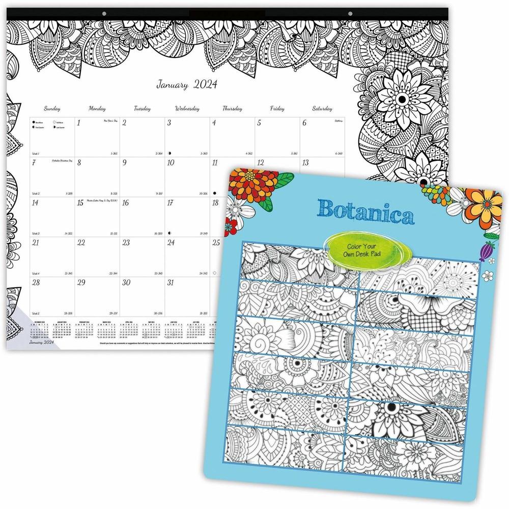 Blueline DoodlePlan Desk Pad - Botanica - Julian - Monthly - January 2022 till December 2022 - 1 Month Single Page Layout - Desk Pad - White - Chipboard - Eyelet, Tear-off, Compact, Reinforced - 22" x. Picture 1