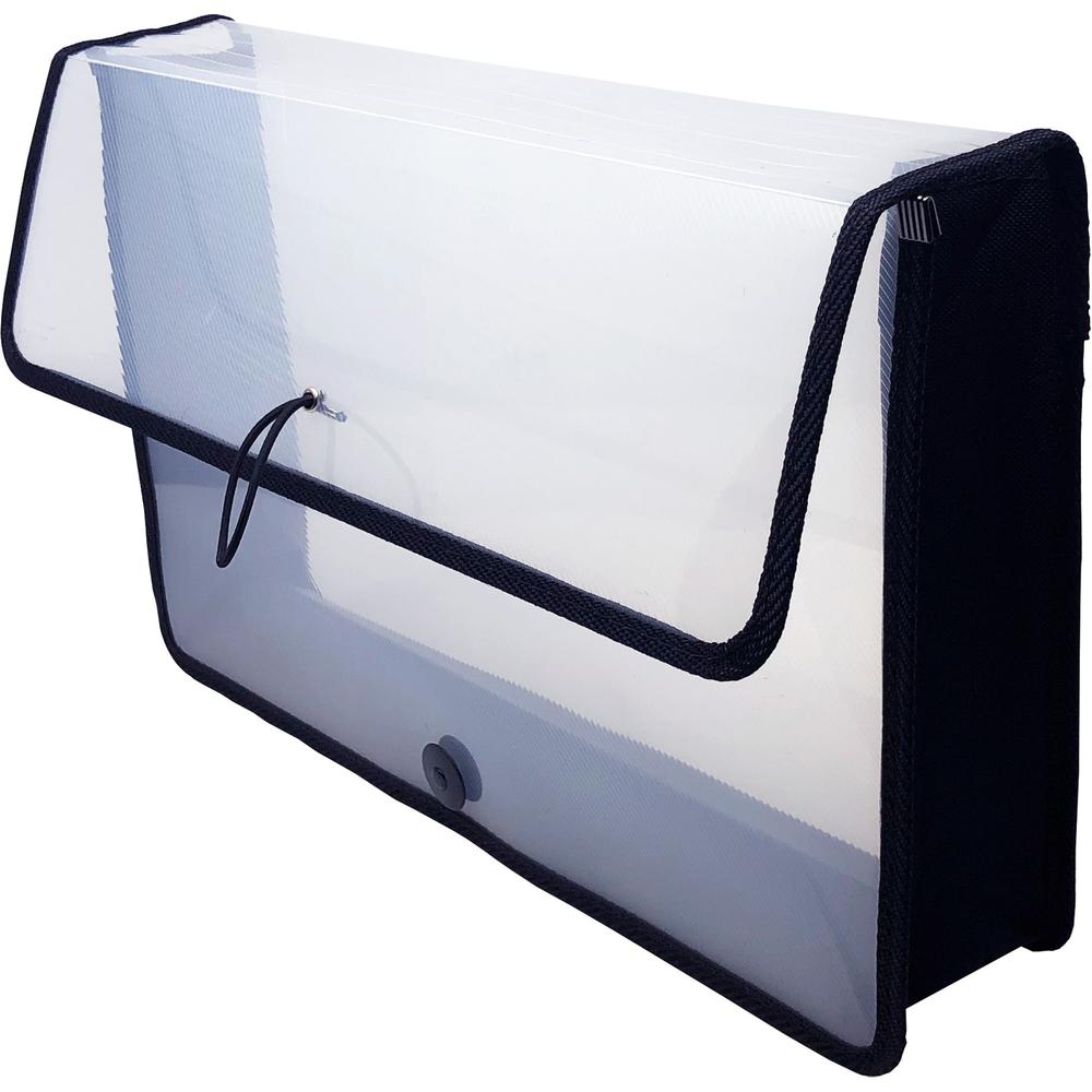 Lion EXPAND-N-FILE File Wallet - 3" Folder Capacity - Clear - 1 Each. Picture 1
