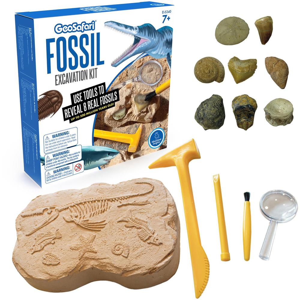 GeoSafari Fossil Excavation Kit - Theme/Subject: Fun - Skill Learning: Paleontology, STEM, Fossil - 7-12 Year - 1 Each. Picture 1