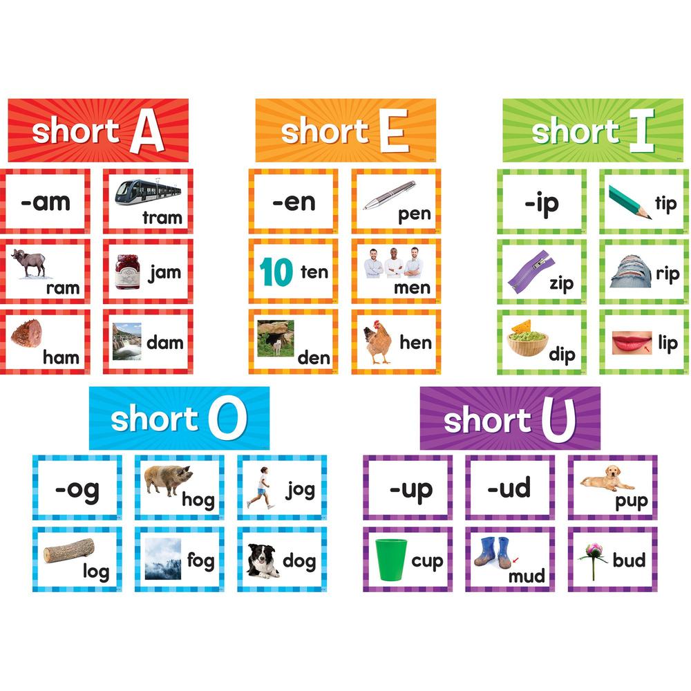 Teacher Created Resources Short Vowels Pocket Chart Cards - Skill Learning: Short Vowels - 205 Pieces - 1 Pack. Picture 1