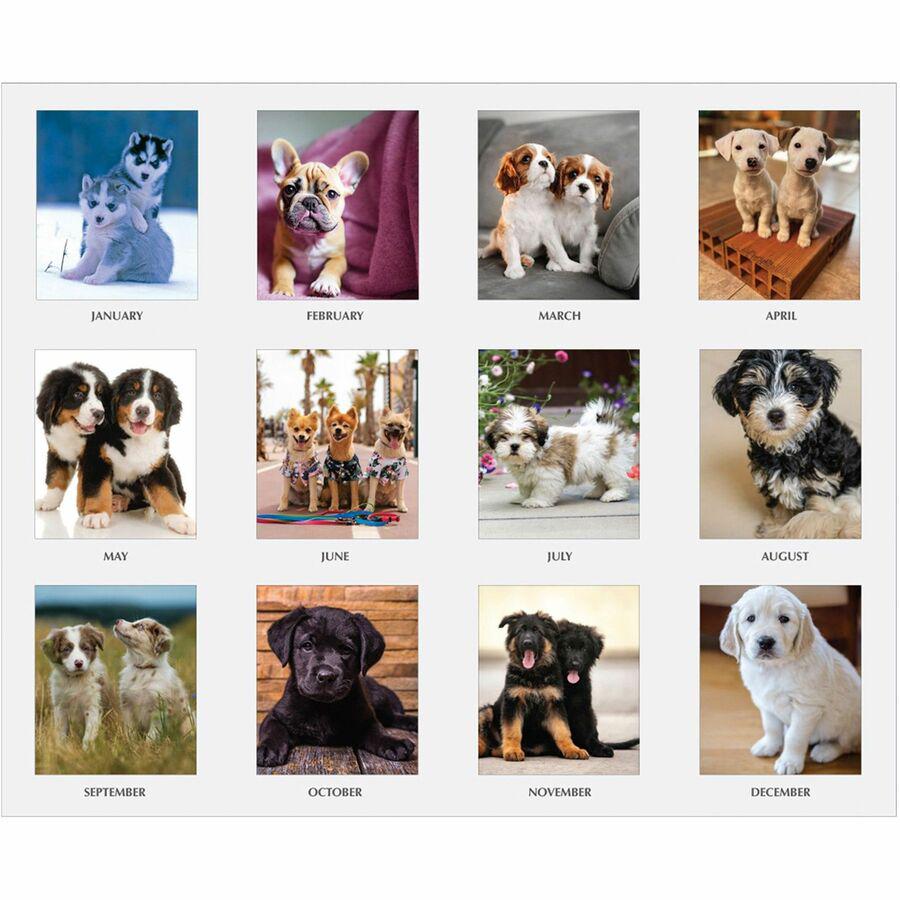 House of Doolittle Earthscapes Puppies Photo Desk Pad - Julian Dates - Monthly - 1 Year - January 2022 till December 2022 - 1 Day Single Page Layout - 22" x 17" Sheet Size - 2.88" x 2.25" Block - Desk. Picture 3