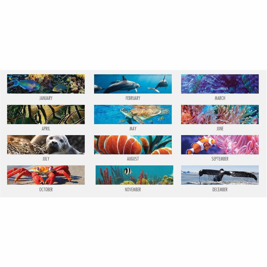 House of Doolittle EarthScapes Sea Life Desk Pads - Julian Dates - Monthly - 12 Month - January 2024 - December 2024 - 1 Month Single Page Layout - 22" x 17" Sheet Size - 2.25" x 3.06" Block - Desk Pa. Picture 2