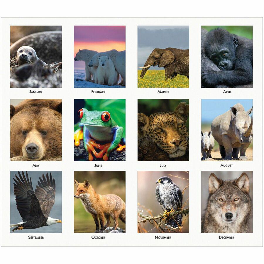 House of Doolittle EarthScapes Wildlife Desk Pad - Academic - Julian Dates - Monthly - 12 Month - January 2024 - December 2024 - 1 Month Single Page Layout - 17" x 22" Sheet Size - 2.25" x 2" Block - . Picture 3
