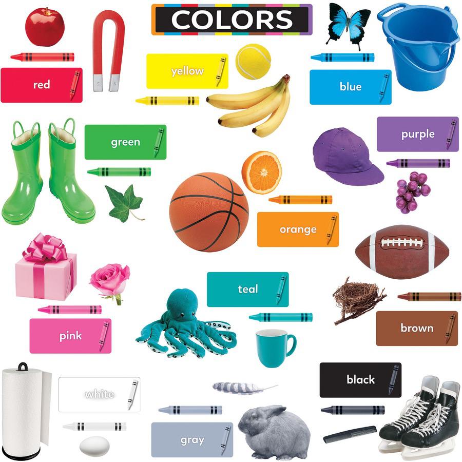 Trend Colors All Around Us Learning Set - Learning Theme/Subject - Durable, Reusable, Sturdy - Multi - 1 Each. Picture 3