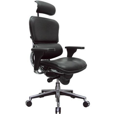 Eurotech Ergohuman Leather Executive Chair - Ebony Fabric, Leather Seat - Ebony Fabric, Leather Back - 5-star Base - 1 Each. Picture 2