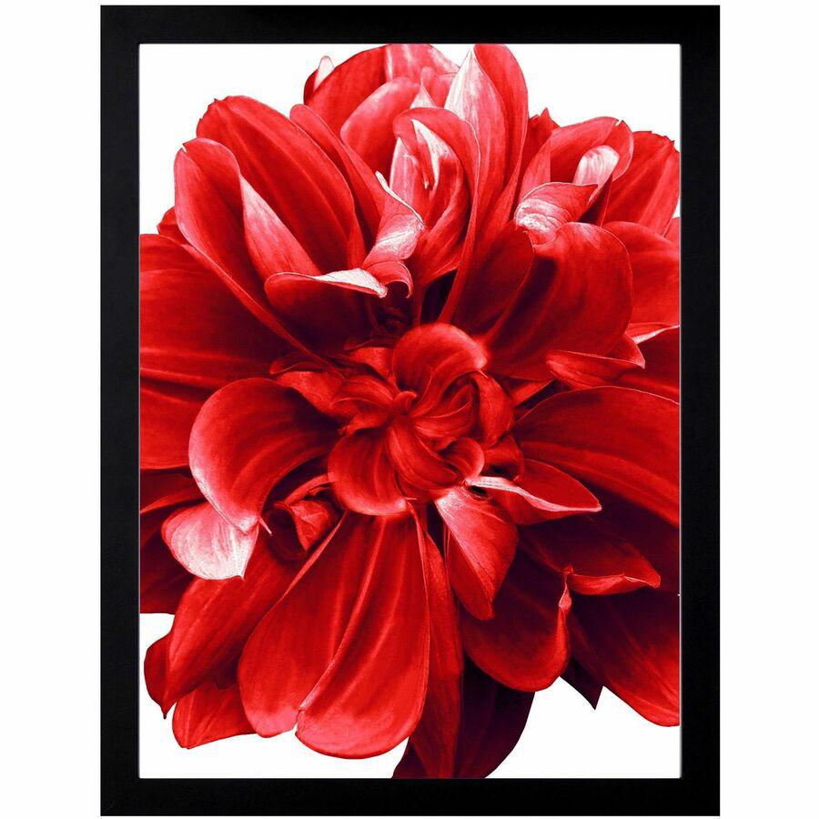 Lorell Wide Frame - 24" x 36" Frame Size - Rectangle - Horizontal, Vertical - 1 Each - Black. Picture 4