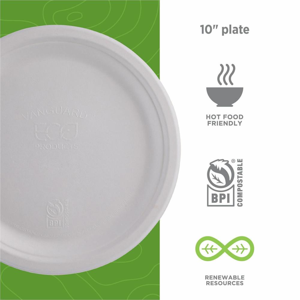 Eco-Products Vanguard 10" Sugarcane Plates - Breakroom - Disposable - Microwave Safe - 10" Diameter - White - Sugarcane Fiber Body - 500 / Carton. Picture 3