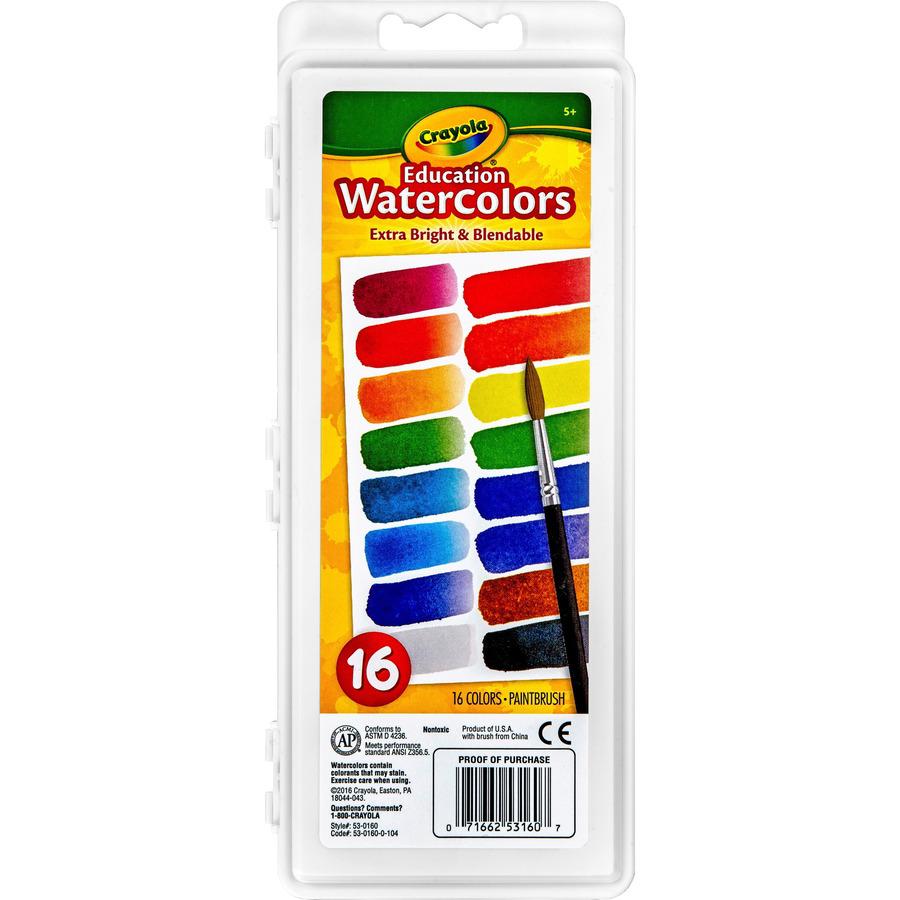 Crayola Oval Pan Cake Water Color - 6.80 oz - 1 Each - Assorted. Picture 7