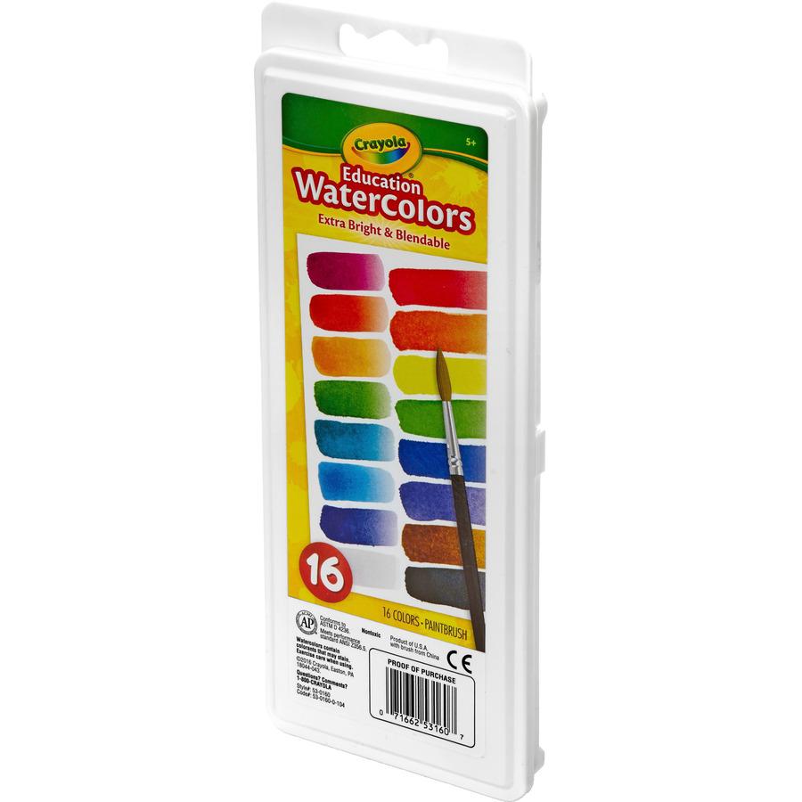 Crayola Oval Pan Cake Water Color - 6.80 oz - 1 Each - Assorted. Picture 3