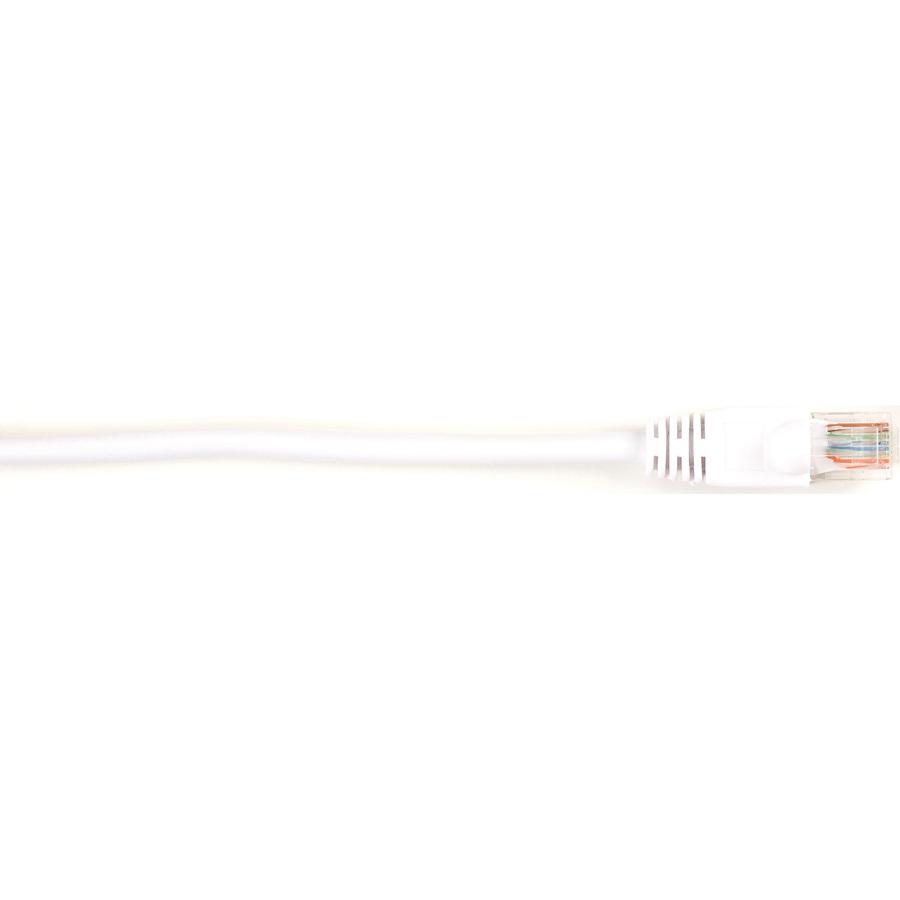 Black Box Connect Cat.6 UTP Patch Network Cable - 10 ft Category 6 Network Cable for Network Device - First End: 1 x RJ-45 Male Network - Second End: 1 x RJ-45 Male Network - 1 Gbit/s - Patch Cable - . Picture 2