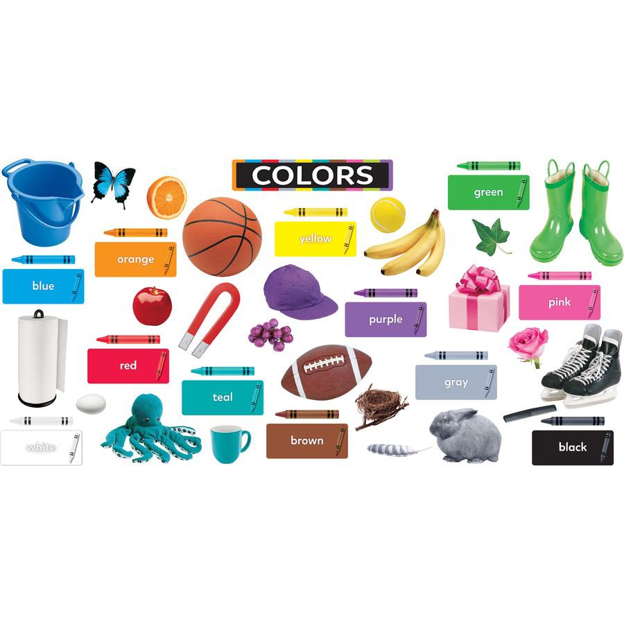 Trend Colors All Around Us Learning Set - Learning Theme/Subject - Durable, Reusable, Sturdy - Multi - 1 Each. Picture 5