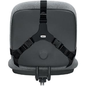 Fellowes Professional Series Back Support with Microban&reg; Protection - Strap Mount - Black - Fabric, Memory Foam - 1 Each. Picture 3