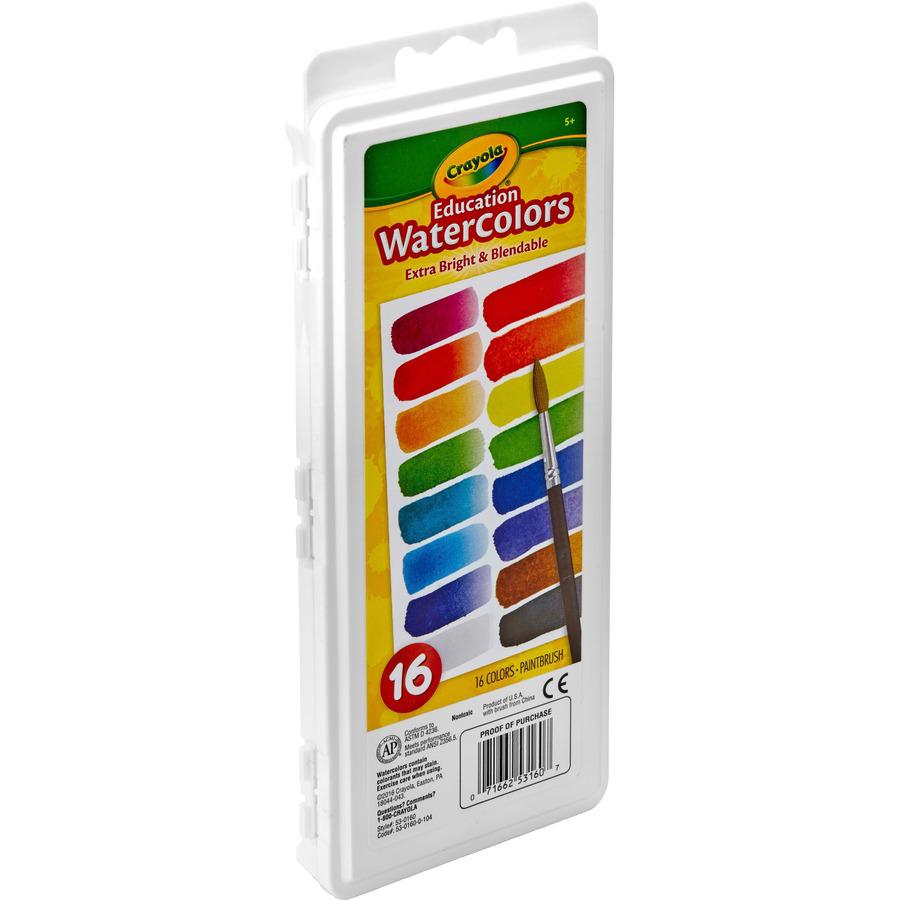 Crayola Oval Pan Cake Water Color - 6.80 oz - 1 Each - Assorted. Picture 5