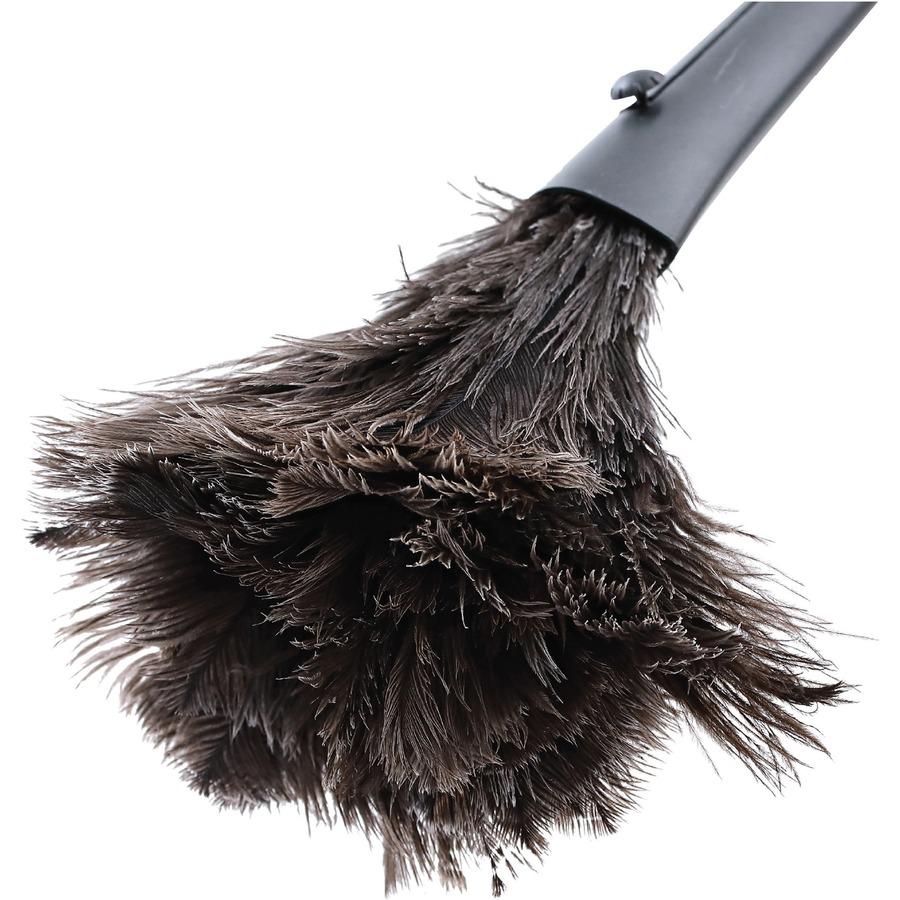 Genuine Joe Retractable Feather Duster - Plastic Handle - 1 Each - Brown. Picture 5