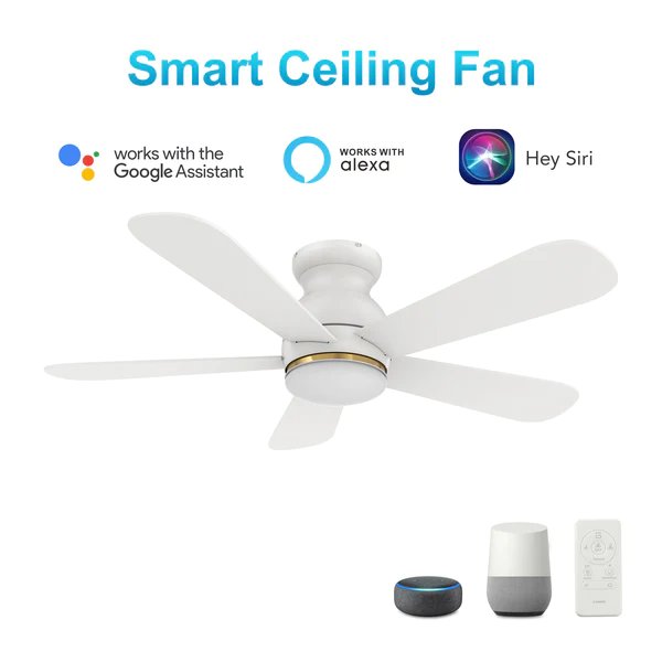 Dubois 48'' Smart Ceiling Fan with Remote, Light Kit Included, White Finish. Picture 4