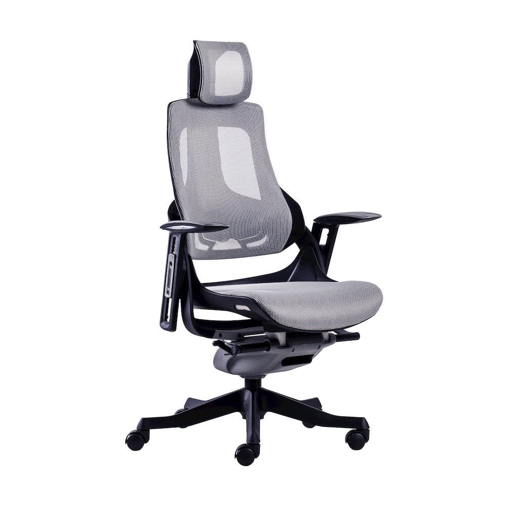Techni Mobili LUX Ergonomic Executive Chair. Picture 1